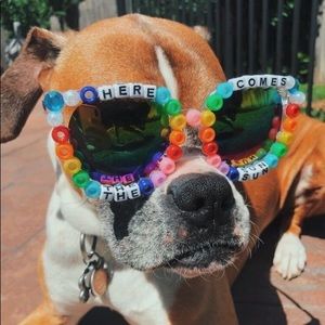 Meet your Posher, Lucy